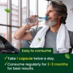 Hashmi PXXL Capsule - Image 7