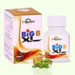 Hashmi Big B XL 20 Capsules