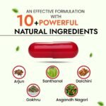 Hashmi Hard Rock Capsule - Image 5