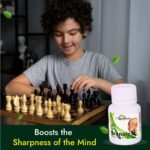 Hashmi Branole Capsule - Image 5