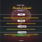 Hashmi Branole Capsule - Image 4