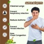 Hashmi Bronkill Capsules - Image 4