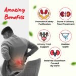 Hashmi Stonil Capsule - Image 2