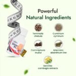 Hashmi Slim XL Capsule - Image 4